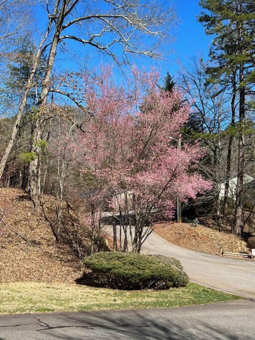 Creekside Gated Golf Mtn Villa W/Fast Wifi & Paved Franklin Luaran gambar