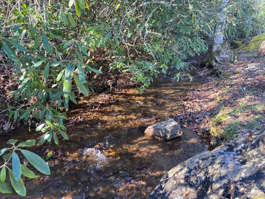 Creekside Gated Golf Mtn Villa W/Fast Wifi & Paved Franklin Luaran gambar